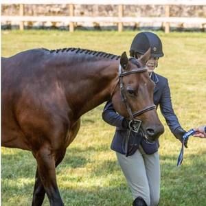 Meet your Posher, Cadence